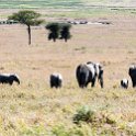 TZA SHI SerengetiNP 2016DEC25 LakeMagadi 034 : 2016, 2016 - African Adventures, Africa, Date, December, Eastern, Month, Northern Lake Magadi, Places, Serengeti National Park, Shinyanga, Tanzania, Trips, Year